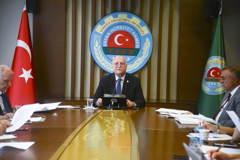 &quot;Et ve Balık Kurumu elden kalan hayvanları satın almalı